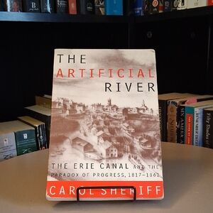 The Artificial River By Carol Sheriff